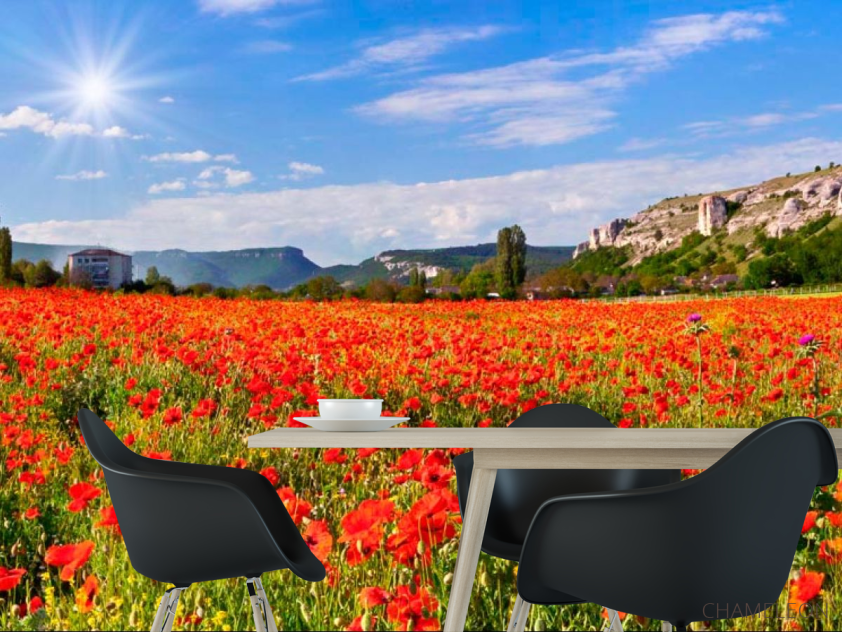 Фотошпалери Поле маків - 1