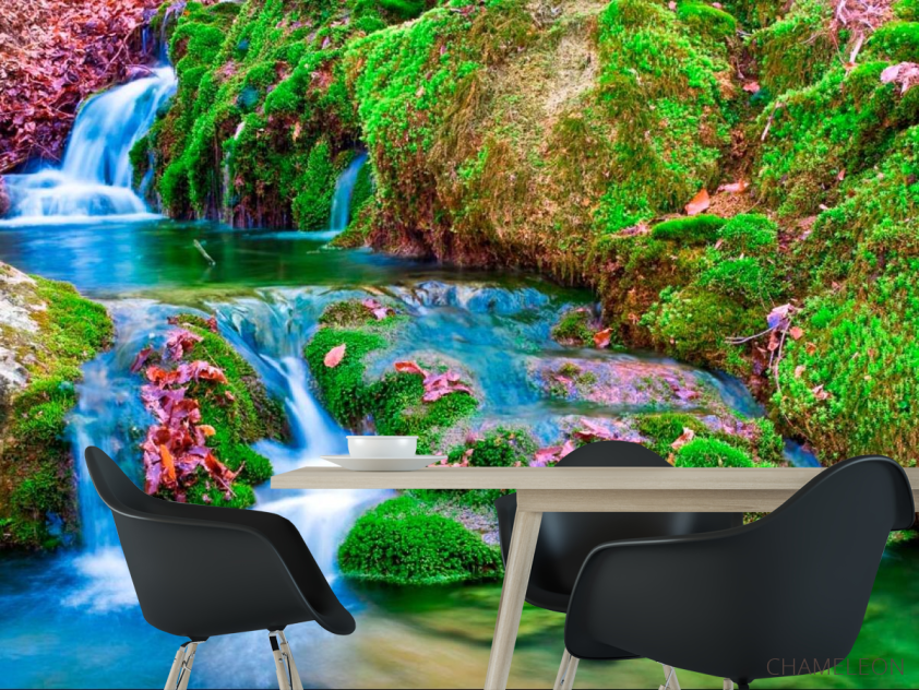 Фотошпалери Мох, вода - 1