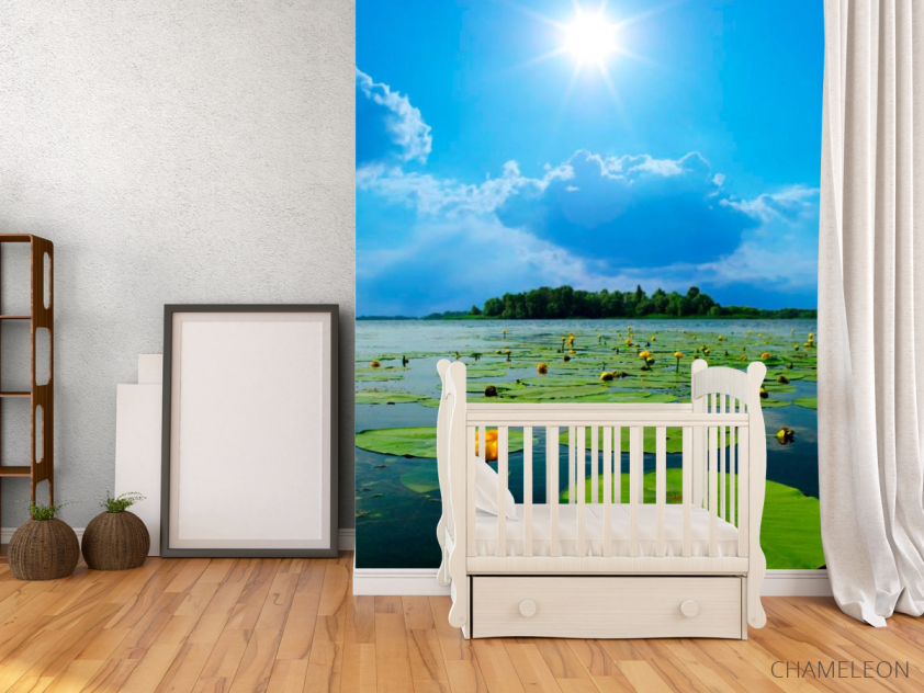 Фотообои Речка, тучи, кубышки - 2