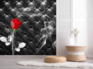 Фотошпалери Червона троянда на тлі - 2