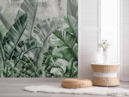 Фотошпалери зелені тропічні листя на тлі бетону. - 2