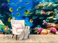 Фотообои Рыбий косяк - 4