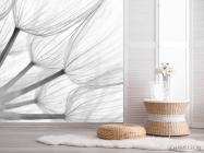 Фотошпалери Кульбаба - 2