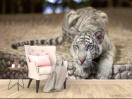 Фотообои Притаившийся тигр - 4