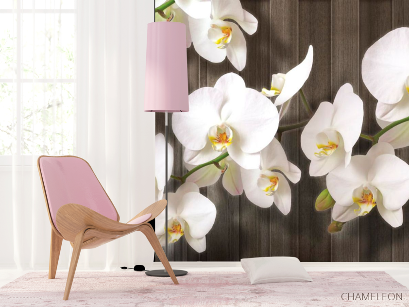 Фотошпалери Білі орхідеї на дереві - 4