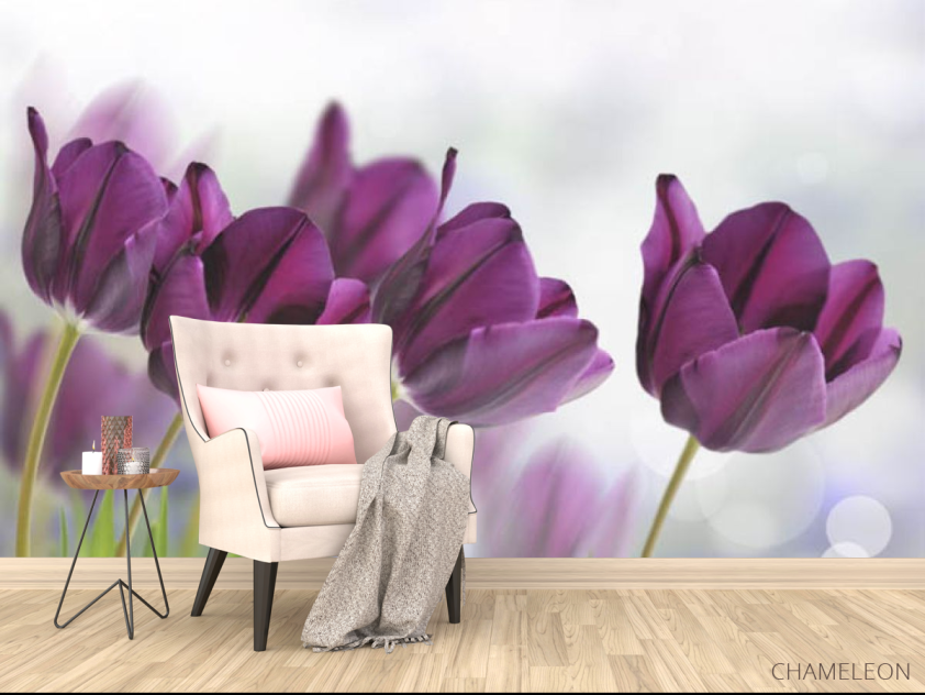 Фотообои тюльпаны - 4
