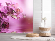 Фотошпалери орхідеї - 2