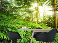 Фотошпалери природа - 1