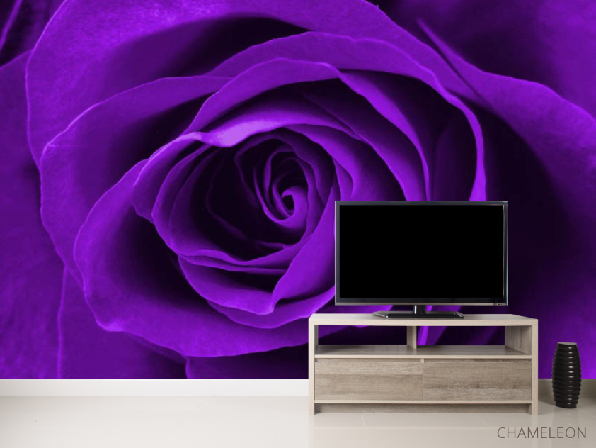 Фотообои фиолетовая роза - 2