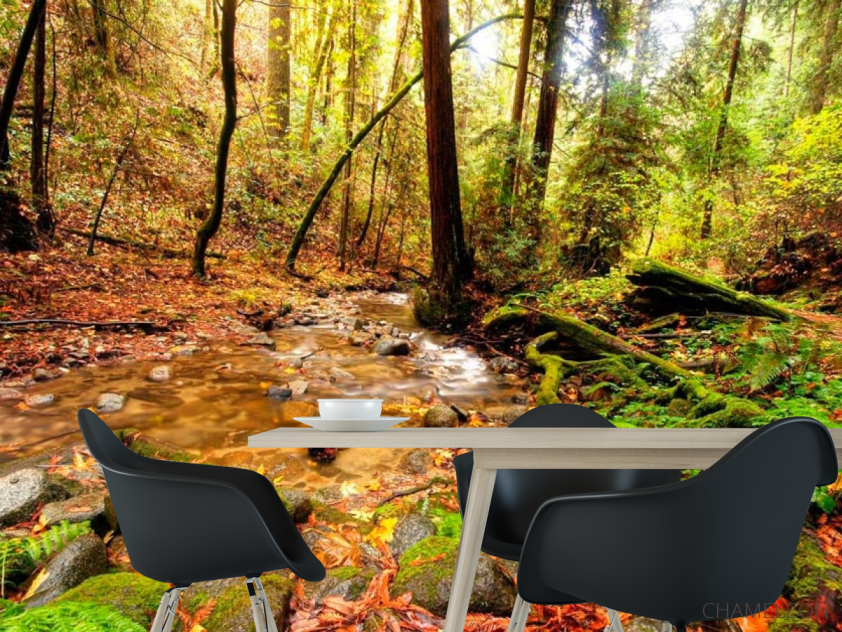 Фотошпалери Струмок у лісі - 1