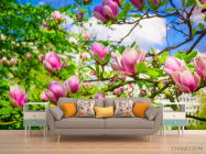 Фотообои магнолии розовые на деревьях - 1