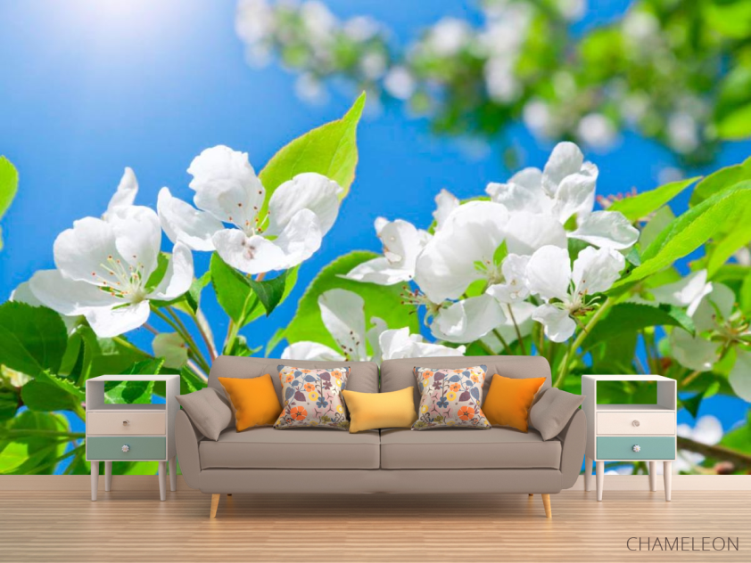 Фотообои Цветы белые маленькие - 1