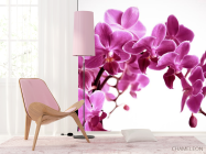 Фотошпалери Орхідея - 4