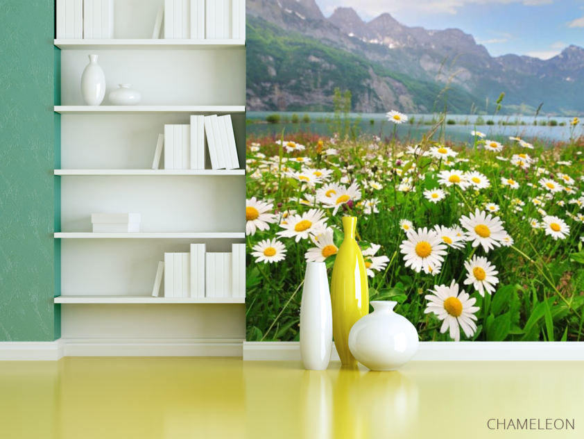 Фотошпалери ромашки і гори - 3