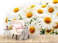 Фотообои Букет полевых ромашек - 4