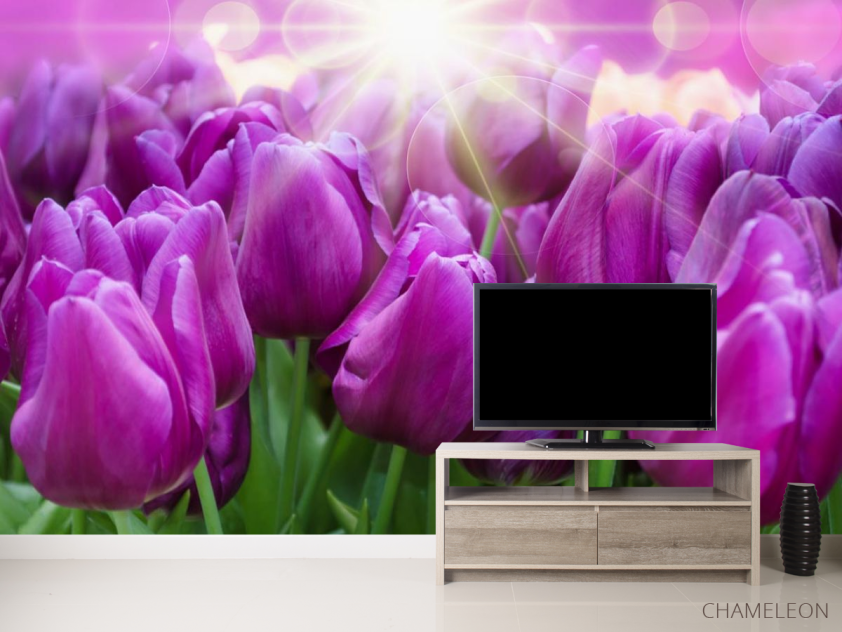 Фотообои фиолетовые тюльпаны - 2