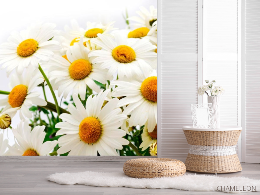 Фотошпалери Букет польових ромашок - 2