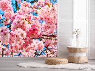 Фотошпалери Цвітіння рожевого дерева - 2