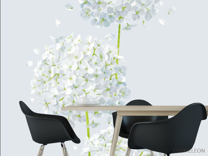 Фотошпалери кульбаби - 1