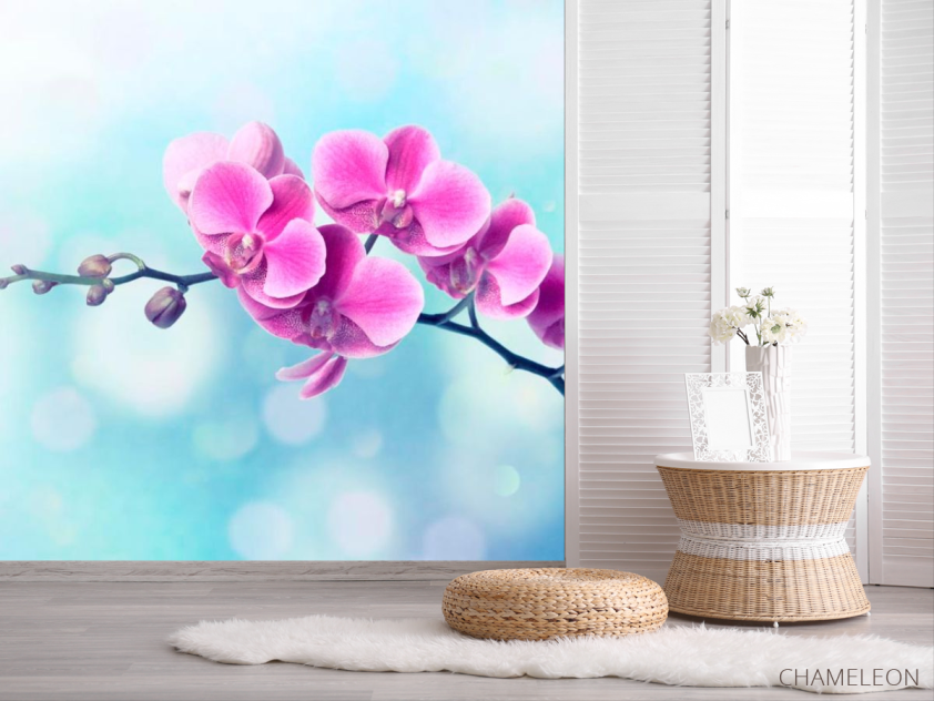 Фотошпалери Малинове квітуче дерево - 2