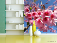 Фотошпалери сакура - 3