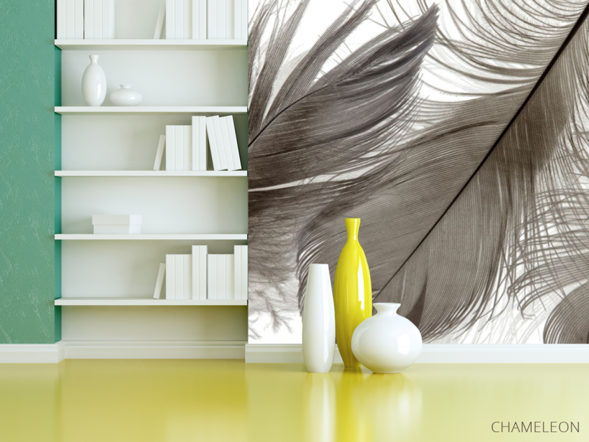 Фотошпалери Коричневі пір'я - 3