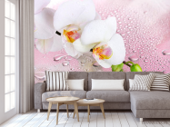 Фотообои Две белых орхидеи - 3