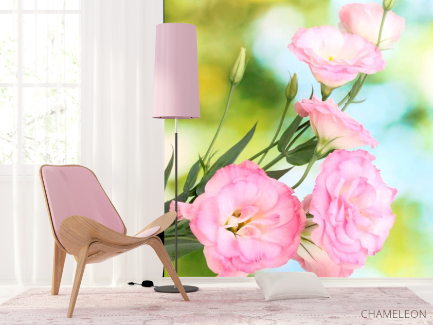 Фотошпалери Петунії блідо-рожеві - 4