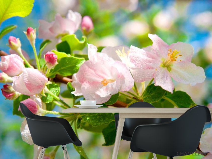 Фотошпалери Цвіте шипшина - 1