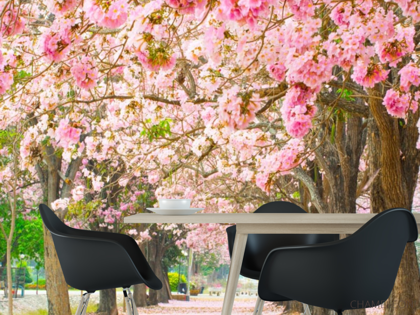 Фотошпалери алея з рожевих дерев - 1