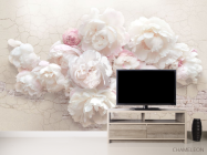 Фотообои Белые пионы - 2