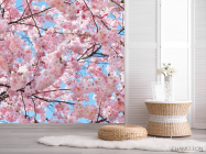 Фотошпалери квітуче дерево - 2