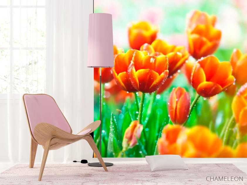 Фотообои Красно-желтые тюльпаны - 4