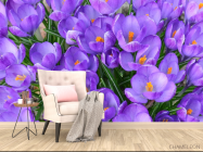 Фотообои Шафран весенний - 4