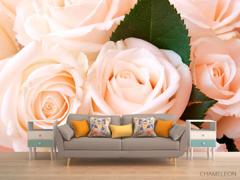 Фотообои Розы - 1