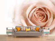 Фотообои Роза кремово-коричневая - 1