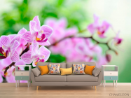 Фотообои Орхидеи сиреневые цветут - 1