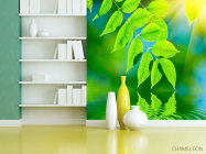 Фотошпалери Зелень над водою - 3