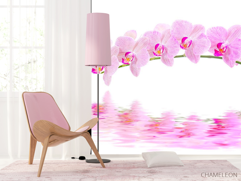Фотошпалери Відображення орхідей - 4