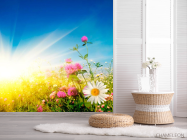 Фотообои Бескрайнее цветущее поле - 2