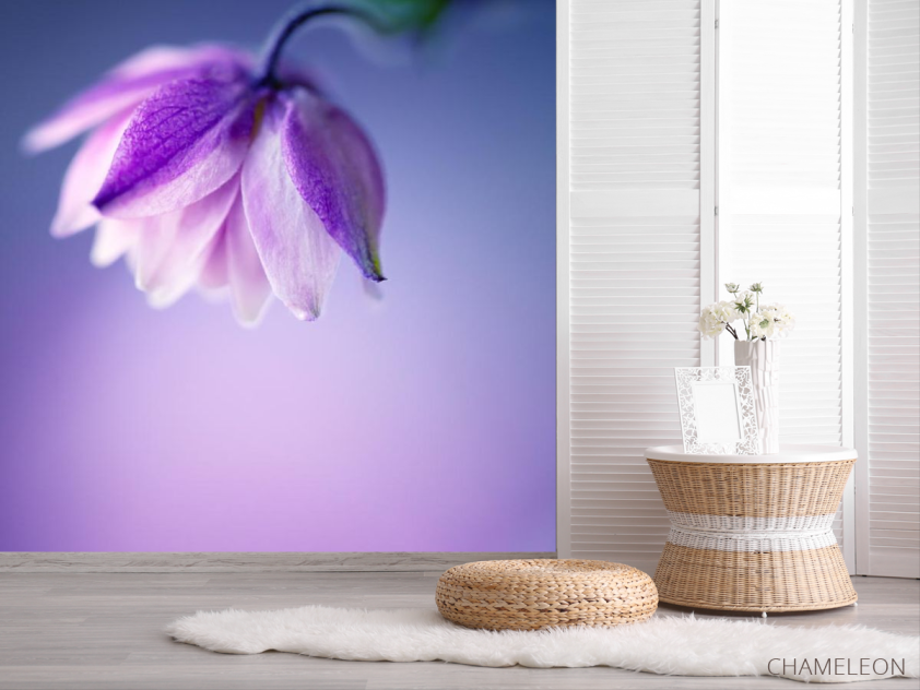 Фотошпалери бузковий квіточка на бузковому тлі - 2