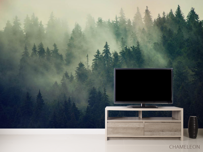 Фотообои Туманные сосны - 2