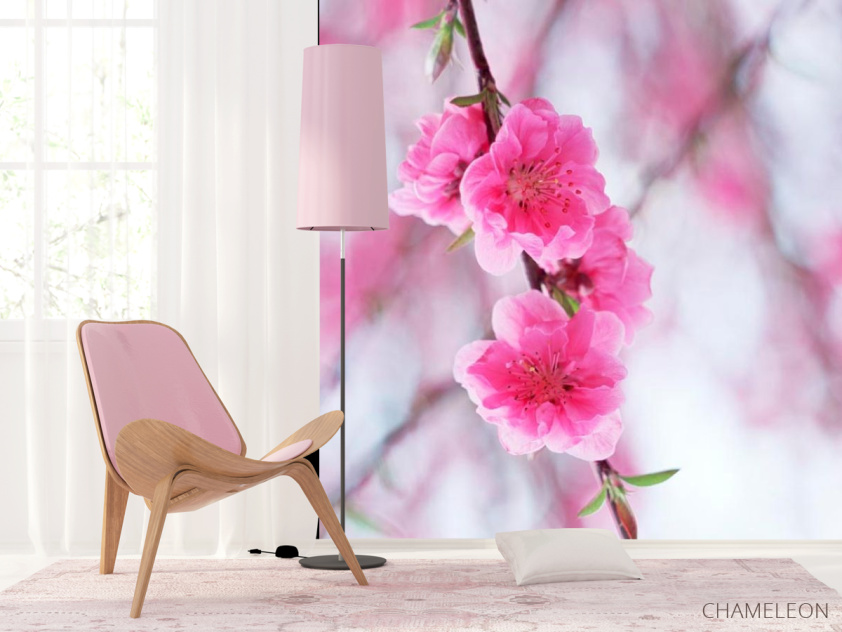 Фотошпалери Квітуча навесні рожевим дерево - 4