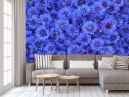 Фотообои синий Остеоспермум - 3