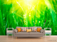 Фотообои На траве роса - 1