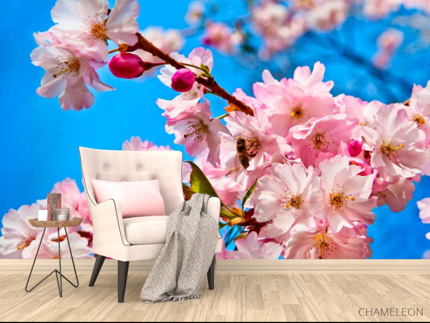 Фотообои Соцветия шиповника - 4