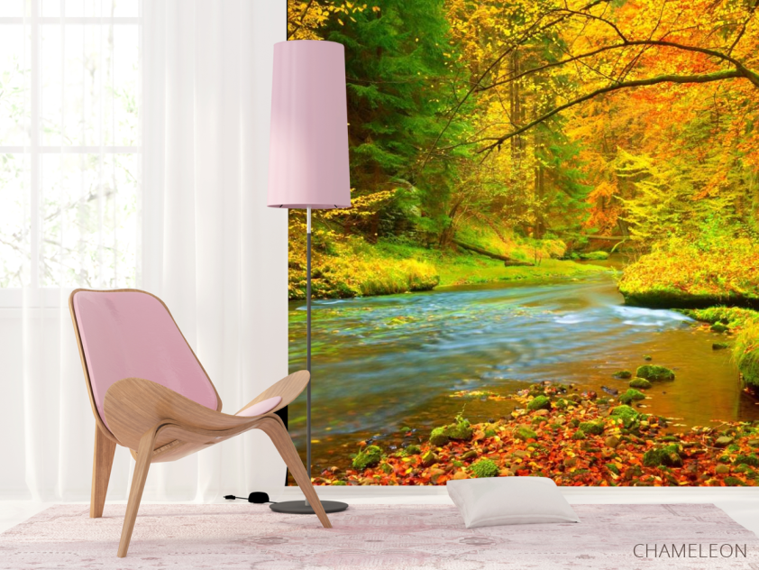 Фотошпалери яскравий осінній ліс - 4