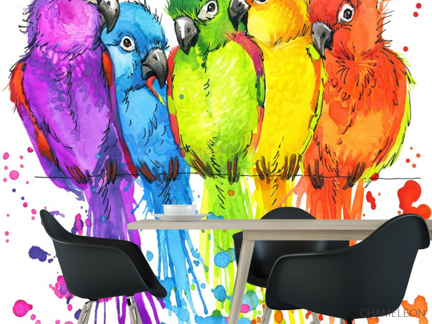 Фотошпалери п'ять різнокольорових папуг малюнок - 1