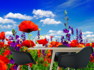 Фотошпалери Маки - 1