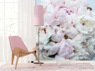 Фотошпалери великий півонія з півоній - 4